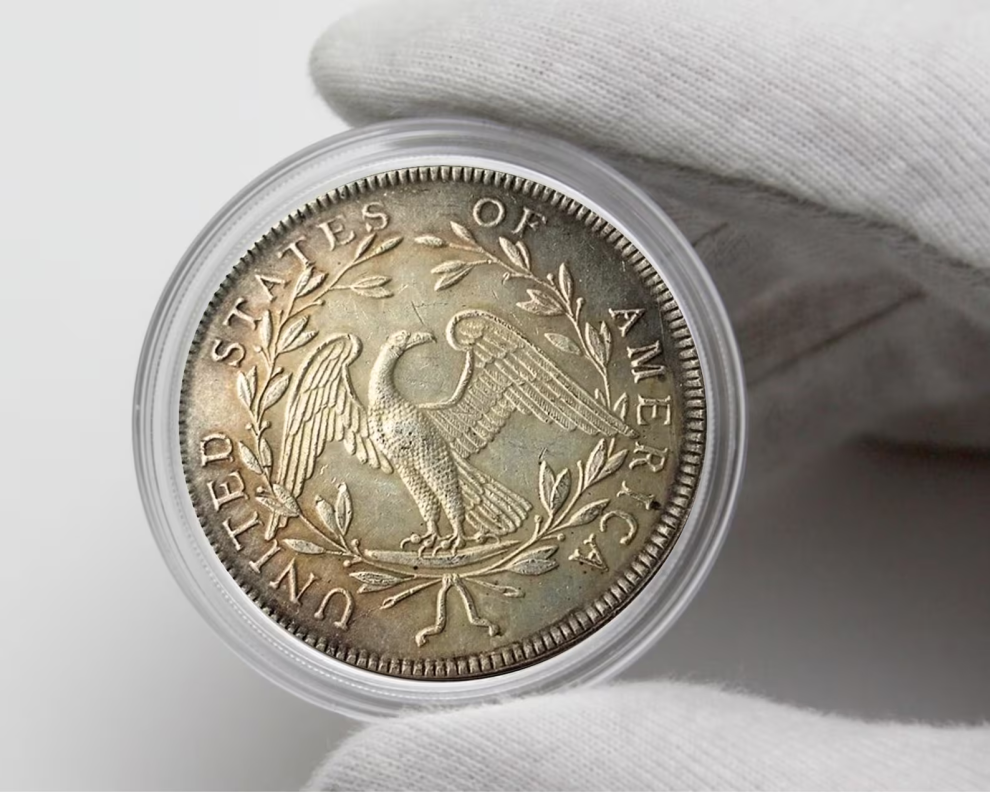 🔥 Limited Stock The Complete Set Of 1794-1804 Liberty Flowing Hair Silver Dollar(11Pcs)