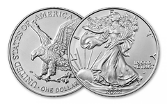 2022 1 Oz American Silver Eagle Coin-WHILE STOCKS LAST