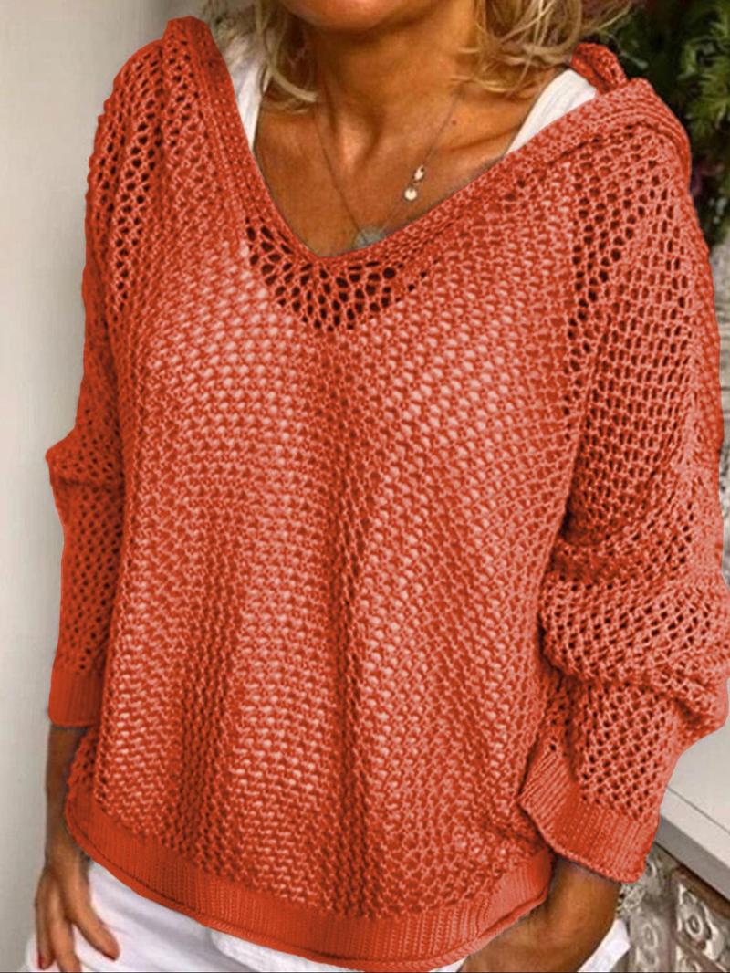 ✨Women's Solid Hollow Out Sheer Hooded Sweater (Buy 2 Free Shipping!!!)
