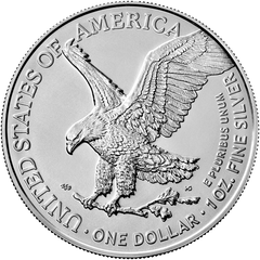 2022 1 Oz American Silver Eagle Coin